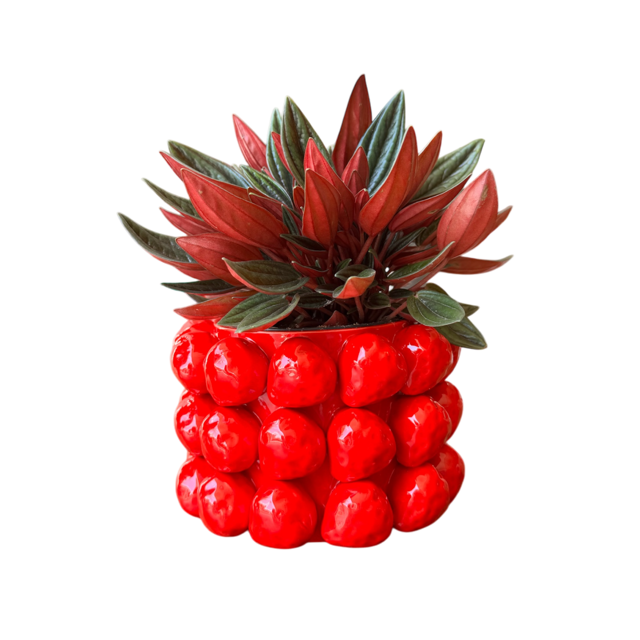 Strawberries Red Round Pot