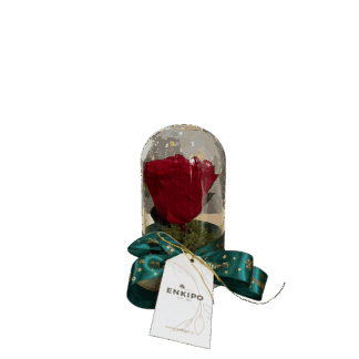 Καμπάνα με 1 Κόκκινο Forever Rose – 15εκ