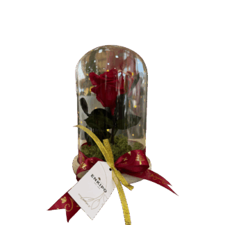 Καμπάνα με 1 Κόκκινο Forever Rose – 25εκ