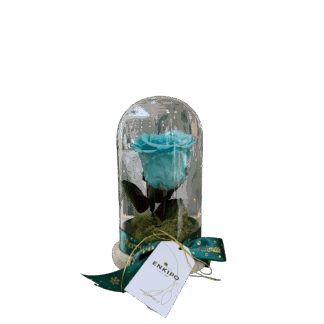 Καμπάνα με 1 Τυρκουάζ Forever Rose – 20εκ